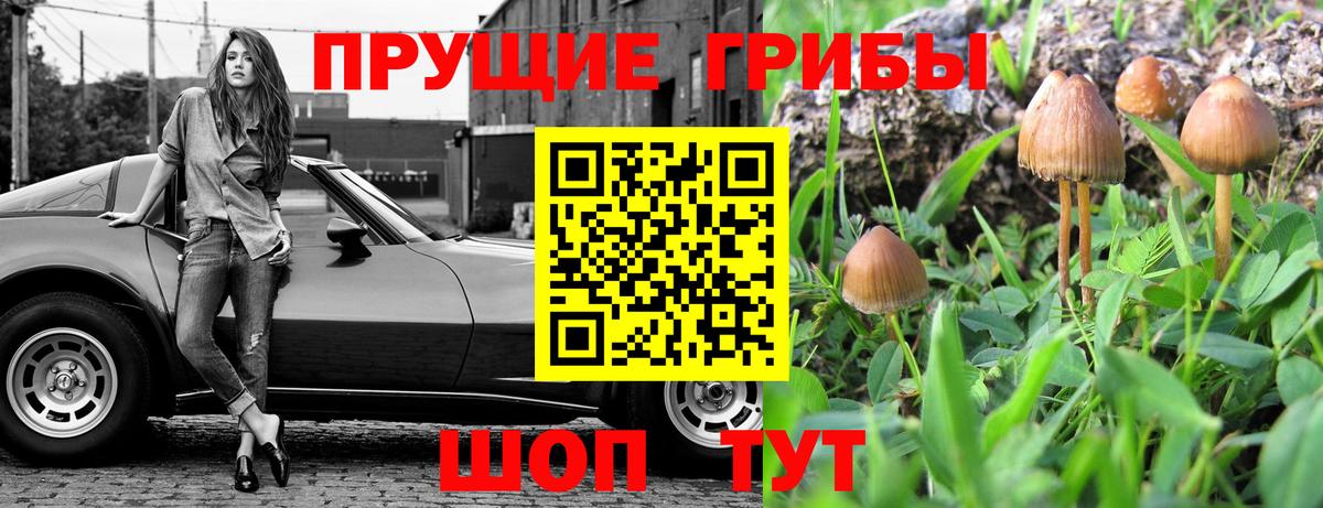 Лосино-Петровский  Галлюциногенные грибы GOLDEN TEACHER  Вход с VPN 